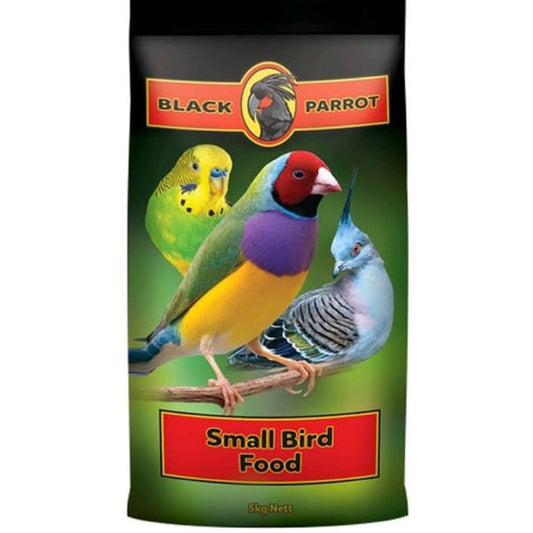 Black Parrot Small Bird 5kg